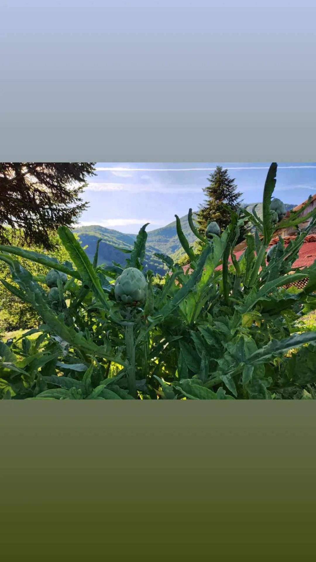 Maison Berthranet Seich Exteriér fotografie